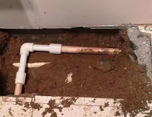 鹤城测漏水哪家好